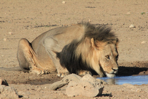 Smaak van Namibië Avonturentour