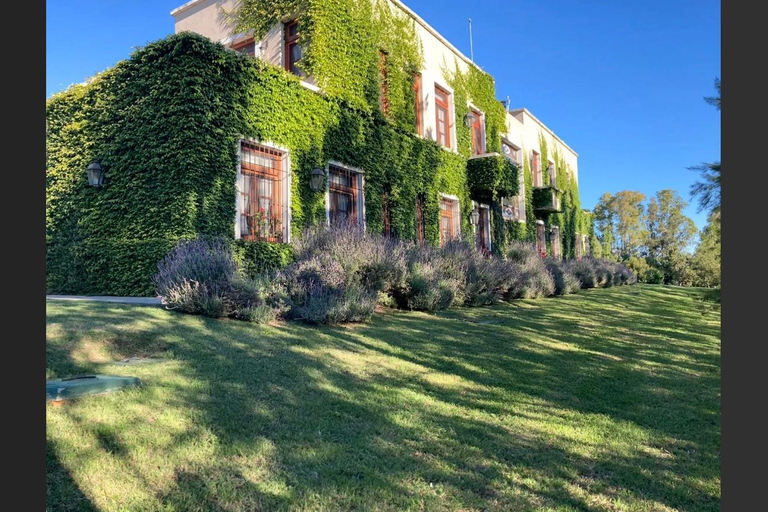 Colonia: Winery, Olive Oil & Gourmet Lunch Tour