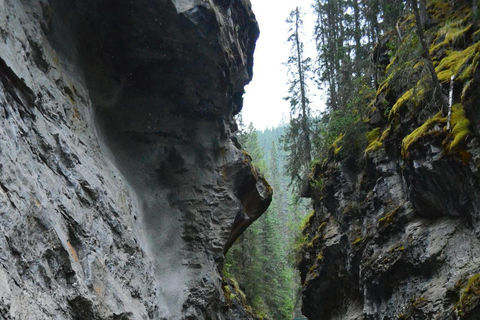 Calgary : Visite du lac Louise, du lac Moraine et du canyon Johnston