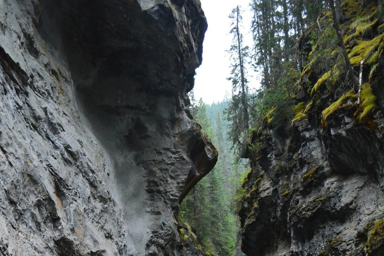 Banff: Prywatna jednodniowa wycieczka nad jezioro Louise i do kanionu Johnston