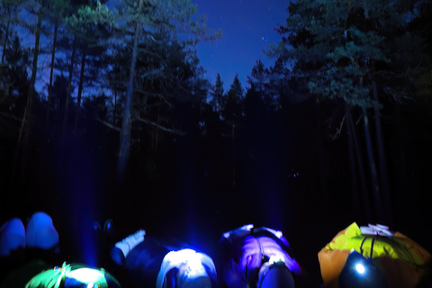 Helsinki: Light in the Dark Forest Experience Experience from Kerava