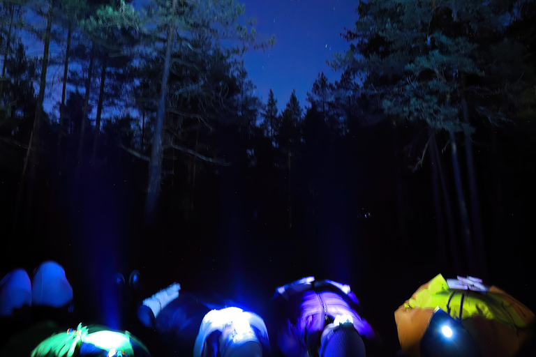Helsinki: Light in the Dark Forest Experience Experience from Kerava