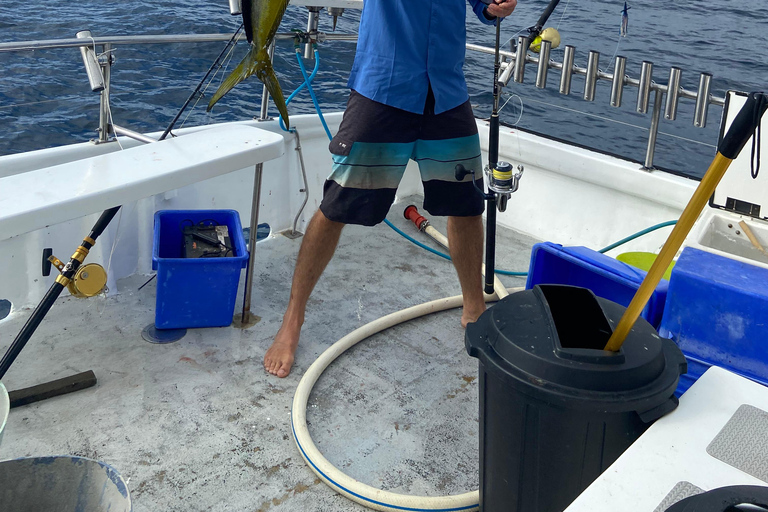 Sydney: 4 Hour Offshore Deep Sea Fishing Charter From Manly