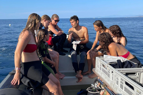 Calvi : Sortie snorkeling en bateau en bordure de réserve Calvi : Snorkeling Adventure by the Natural Reserve