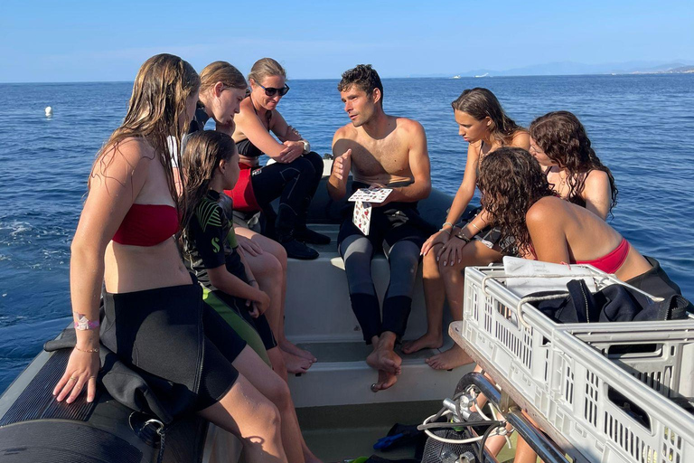 Calvi : Sortie snorkeling en bateau en bordure de réserve Calvi : Snorkeling Adventure by the Natural Reserve