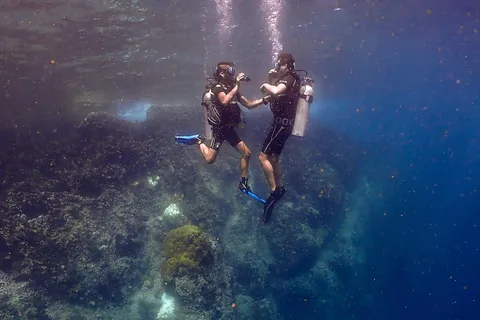 Koh Samui: Mergulho de descoberta em Koh Tao ou Sail Rock