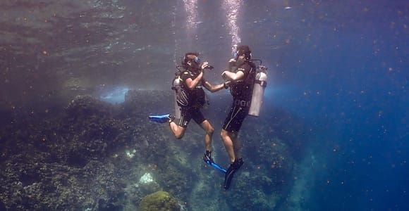 From Koh Samui: Beginner 2-Dive Trip to Koh Tao or Sail Rock