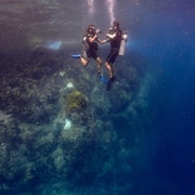 Koh Samui: Discovery Dive to Koh Tao or Sail Rock