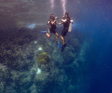 Koh Samui: Discovery Dive to Koh Tao or Sail Rock