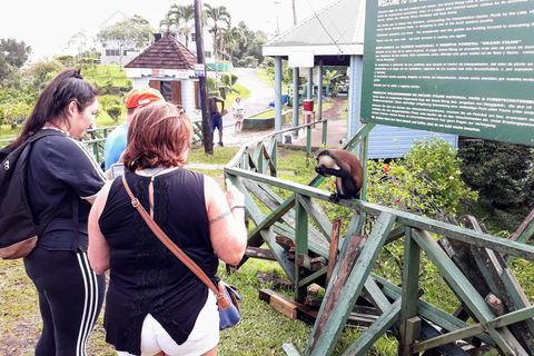 Esplora la magia di Grenada: tour privato dell&#039;isola delle spezie