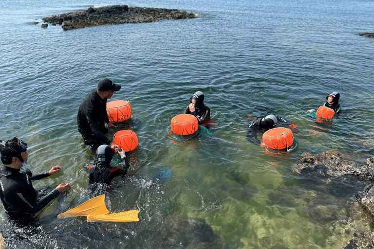 [For Cruise Guests]Jeju Island: Haenyeo Culture Experience