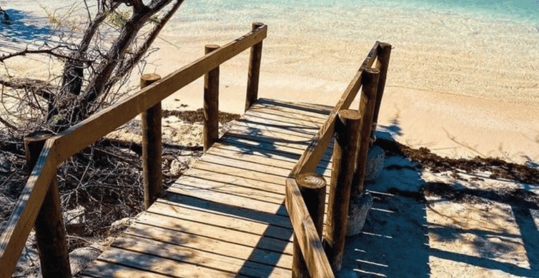 Puerto Rico: 4-in-1 Waterfalls, Beaches, & Hikes Experience