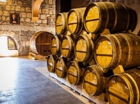 Brandy Tasting Experience Yerevan's Renowned Ararat factory - Housity