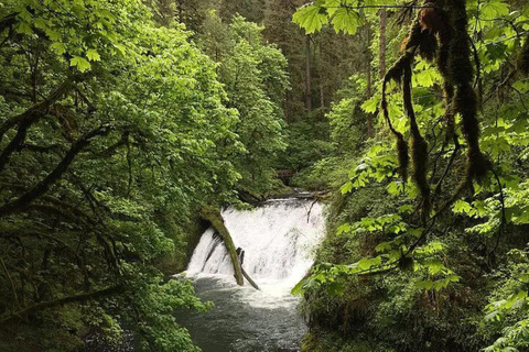 Portland: Wasserfallwanderung im Silver Falls State ParkPortland: Wanderung zu den Wasserfällen im Silver Falls State Park