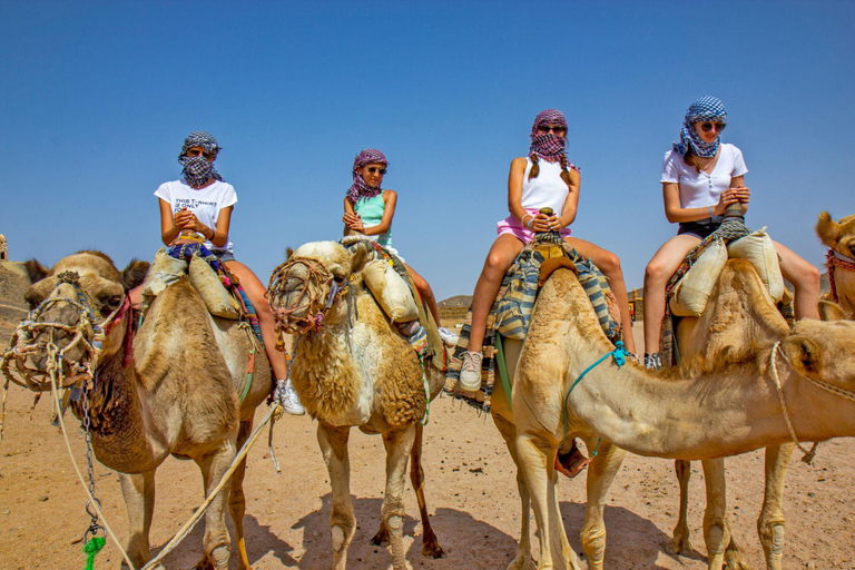 Da Agadir: Giro in cammello al tramonto con cena e trasferimenti