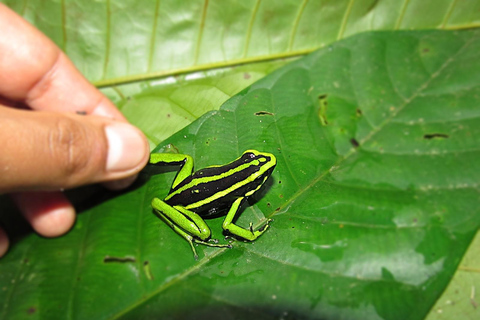 Odkrywanie klejnotu Tarapoto - Serenada na Laguna Azul