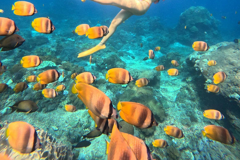 浮潜活动 + 西侧努沙彭尼达之旅
