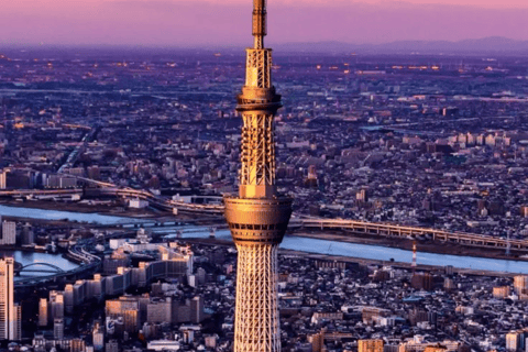 Tokyo Full Day Customizable Private Tour with English Guide