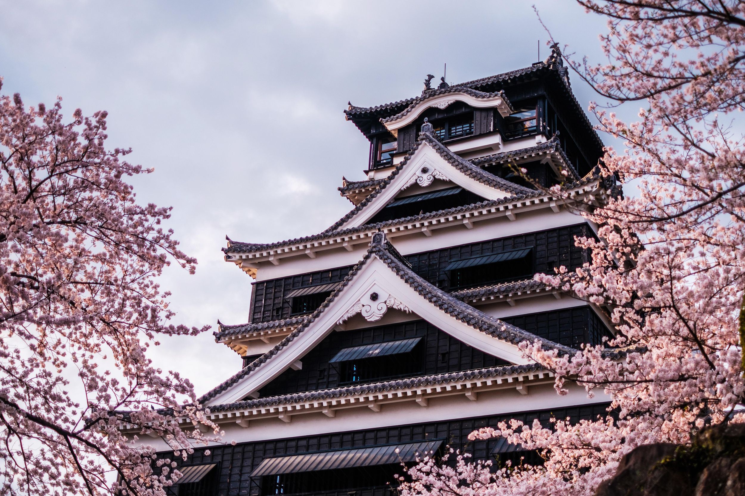 Fukuoka: Kumamoto Kirschblüten-Tagestour in der Frühlingsausgabe