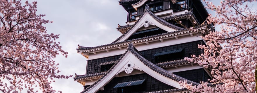 Fukuoka : visite d'une journée des cerisiers en fleurs de Kumamoto