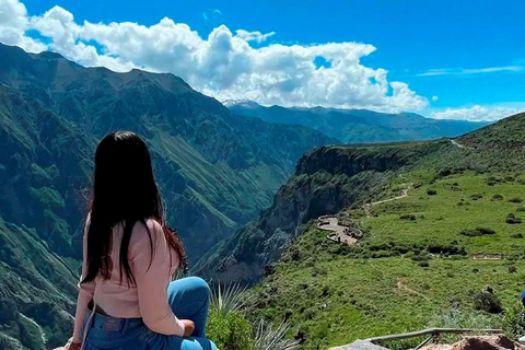 Arequipa: Colca Canyon Tour with Breakfast & Lunch