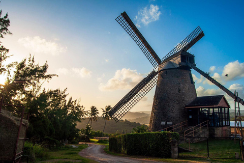 Sweet Life Island Tours