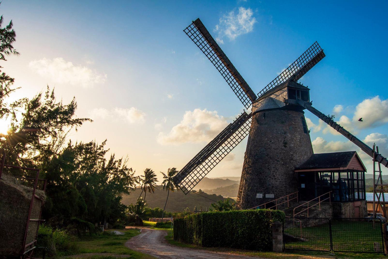 Sweet Life Island Tours