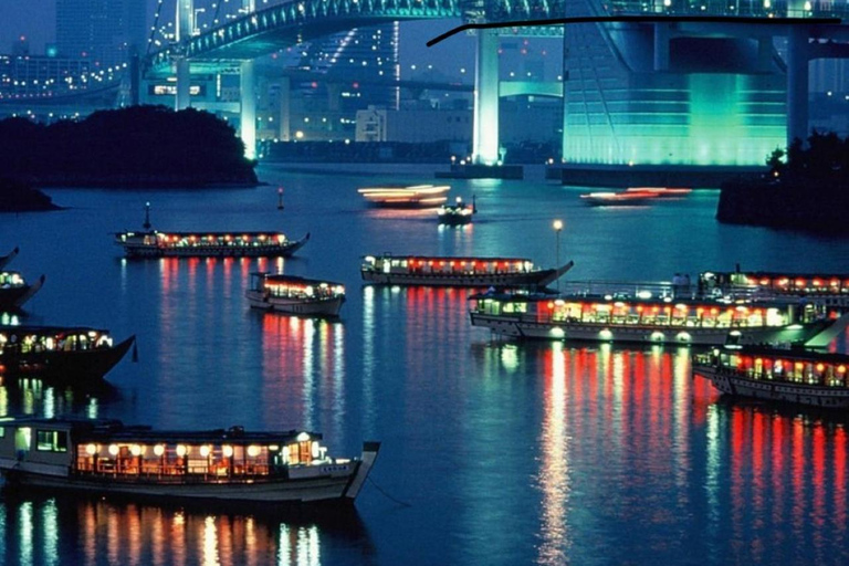 Tokyo Night Private Tour With English Speaking Driver