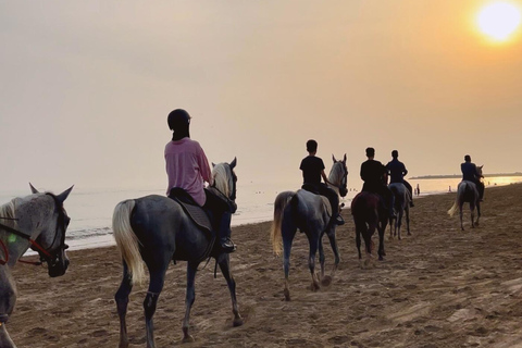 Montar a caballo en la playa de Mascate