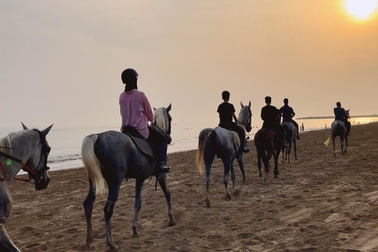 Horse riding on muscat beach