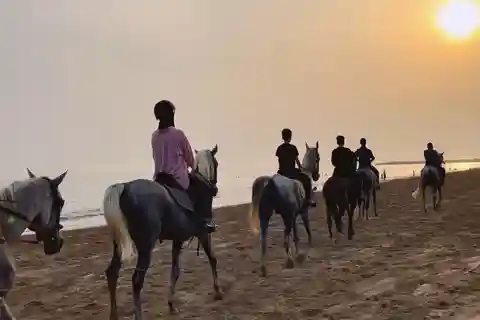 Equitazione sulla spiaggia di Muscat