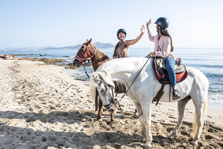Antalya / Belek : Horseback Riding Through Forest & Beach Sunset Horseback Riding