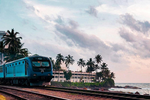 From Colombo: Galle Day Tour With Scenic Coastal Train Ride