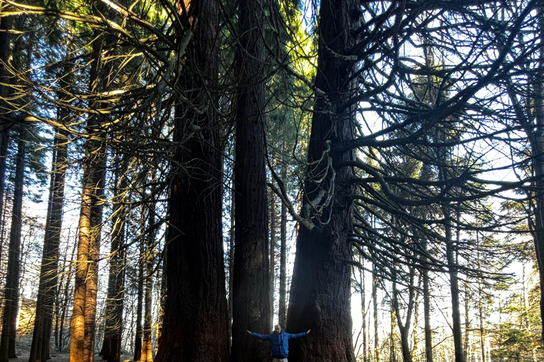 Small Group: Sofia to Kyustendil Fortress & Sequoia Park