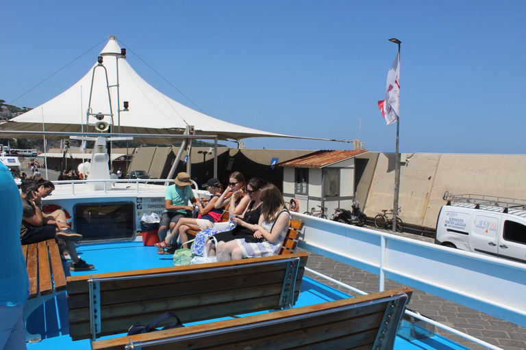 Capri: Blue Cruise with Guide from Sorrento, C.Stabia,Seiano From Seiano: Capri Blue Cruise