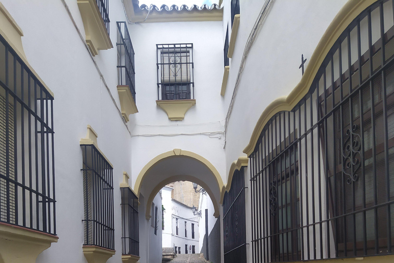 Private Tour in Ronda