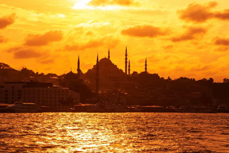 Istanbul: Bosphorus Lunch Cruise with Guide & Drinks