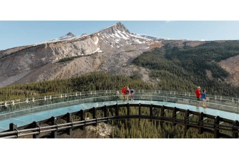 From Calgary: Columbia Icefield Day Trip with Skywalk