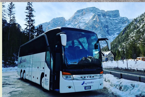 Marche in a Glass: tour of the Fermano and Piceno wineries Fermano & Piceno Wine Tasting Tour: Discover Local Excellence