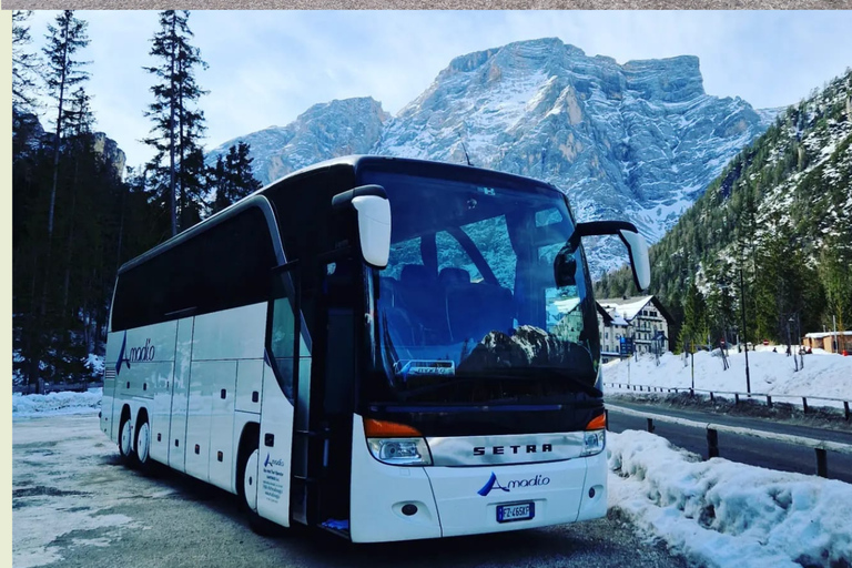 Marche in a Glass: tour of the Fermano and Piceno wineries Fermano & Piceno Wine Tasting Tour: Discover Local Excellence