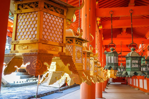 Nara: Temple-Shrine Walking Tour+Zen Calligraphy Experience