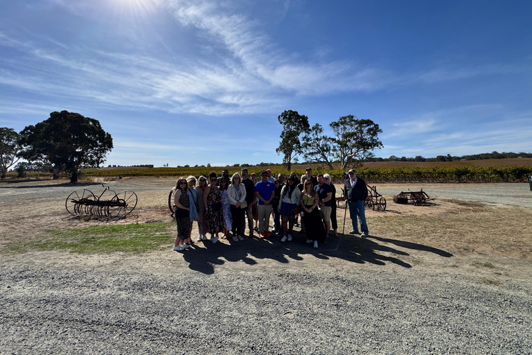 Clare Valley Uncorked: Full-Day Wine Adventure