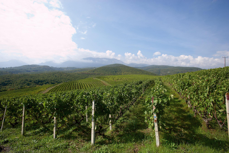 Saloniki: Naousa Wine Region Prywatna jednodniowa wycieczka