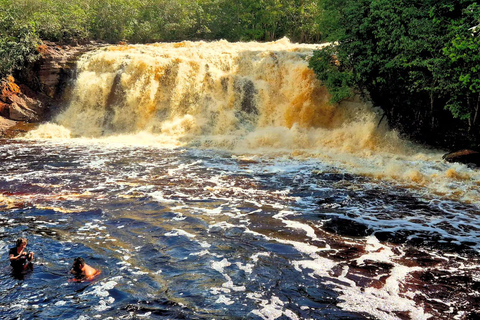 From Manaus: Presidente Figueiredo Jungle and Caves Tour