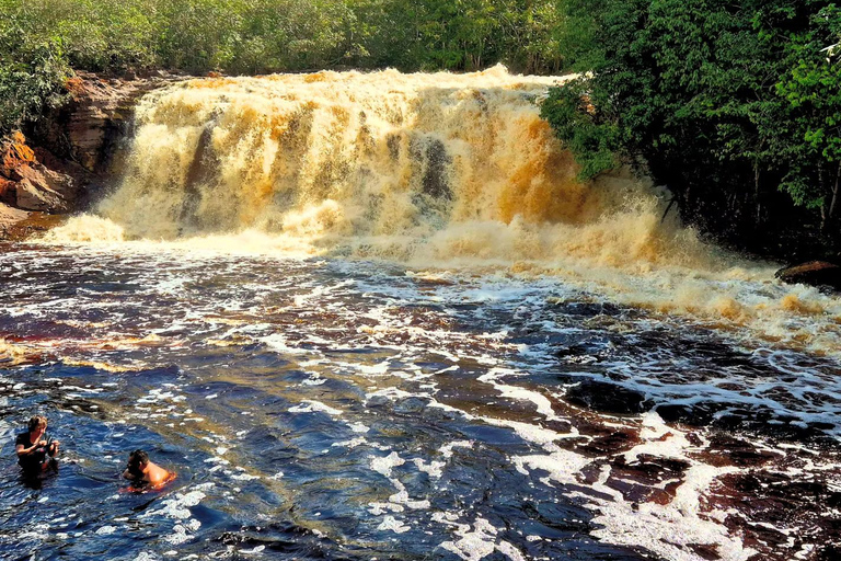 From Manaus: Presidente Figueiredo Jungle and Caves Tour