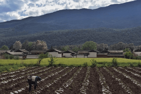 Tour guidato in bicicletta e visita al parco del mercato del villaggio baisha di Lijiang