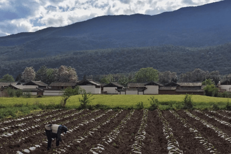 Wycieczka rowerowa i zwiedzanie z przewodnikiem parku targowego wioski Lijiang baisha