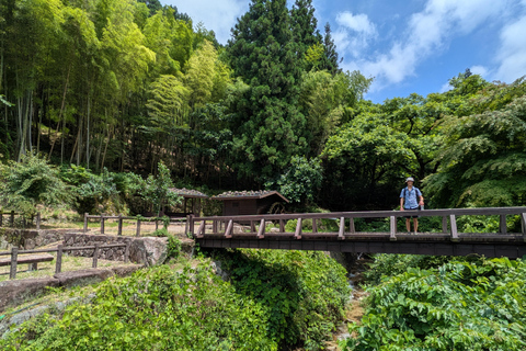 8-timmars Nakasendo-vandring från Nagoya – licenserad guide och bil8-Hour Nakasendo Hike from Nagoya – Licensed Guide &amp; Car