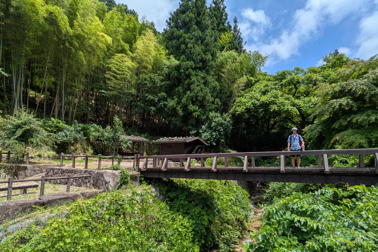 8-timmars Nakasendo-vandring från Nagoya – licenserad guide och bil8-Hour Nakasendo Hike from Nagoya – Licensed Guide &amp; Car