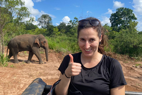 Från Colombo: Dagstur till nationalparkerna Sigiriya och Minneriya